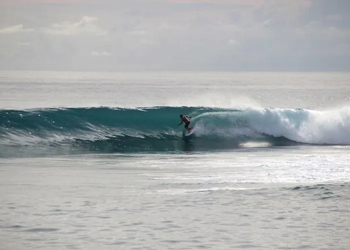 Appartamento Casa Da Fonte *